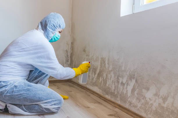 Mold Remediation specialist working in Tucker