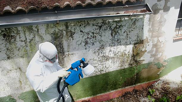 Mold Remediation service in Tucker, Tucker, GA